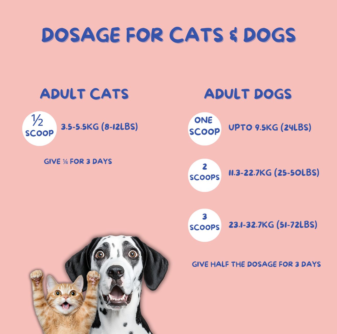 Stop Stressing & Boost Their Immunity — Starting Today