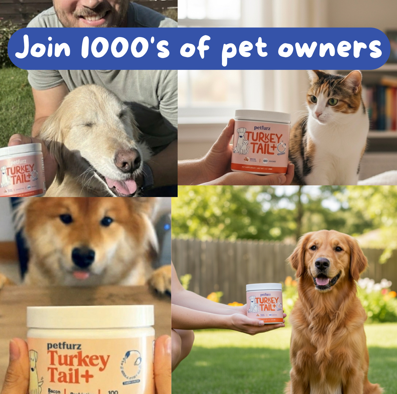 Stop Stressing & Boost Their Immunity — Starting Today