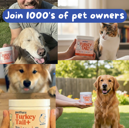 Stop Stressing & Boost Their Immunity — Starting Today